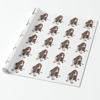 Basset Hound Presentpapper
