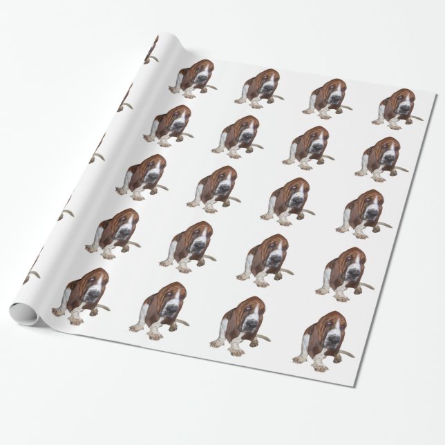 Basset Hound Presentpapper (Utrullad)