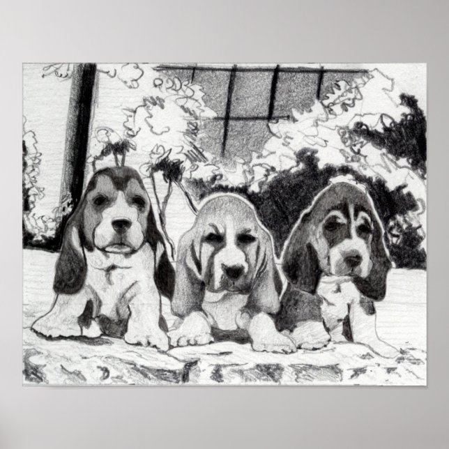 Basset Hound Puppies Hund Porträtt Poster (Framsidan)