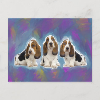 Basset Hound Puppies Vykort