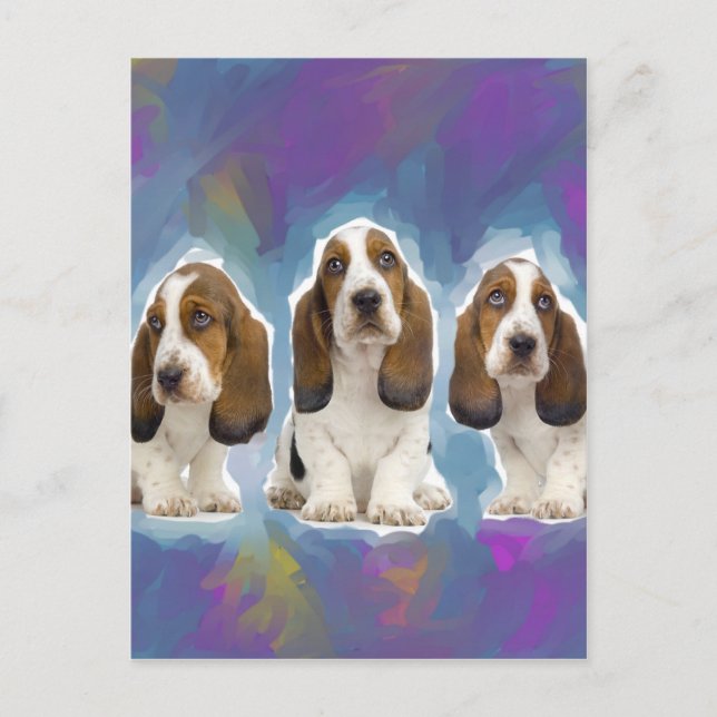 Basset Hound Puppies Vykort (Framsida)