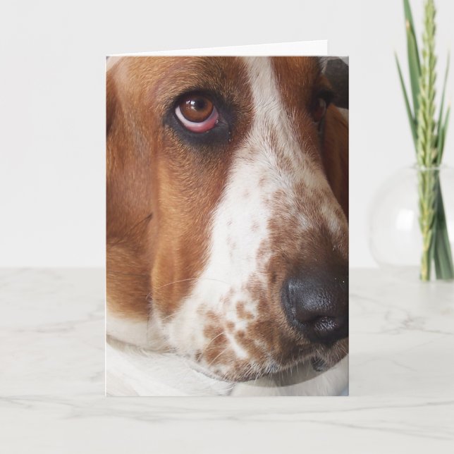 Basset Hound Puppy-hälsningskort Kort (Framsida)