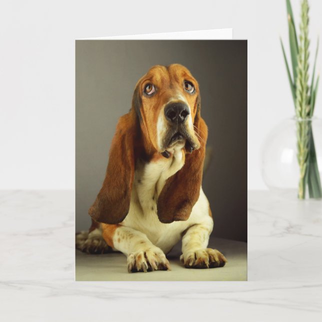 Basset Hound Puppy Hund Blank Note Card Kort (Framsida)