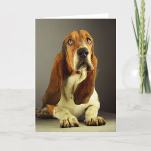 Basset Hound Puppy Hund Blank Note Card Kort
