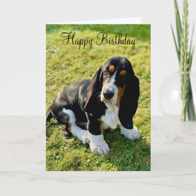Basset Hound Puppy Hund Grattis på födelsedagen Kort (Framsida)
