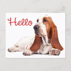 Basset Hound Puppy Hund Red Hej Thinking of You Vykort