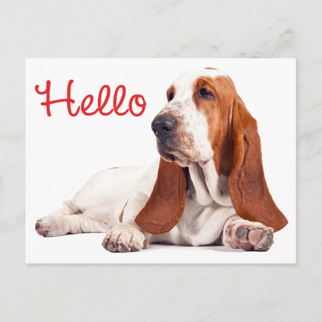Basset Hound Puppy Hund Red Hej Thinking of You Vykort (Framsida)
