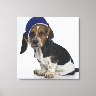 Basset Hound Puppy med Visor Canvastryck