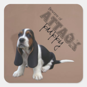 Basset Hound Puppy Sticker Fyrkantigt Klistermärke