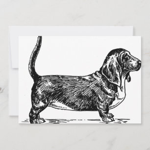 basset hound-ritning.png