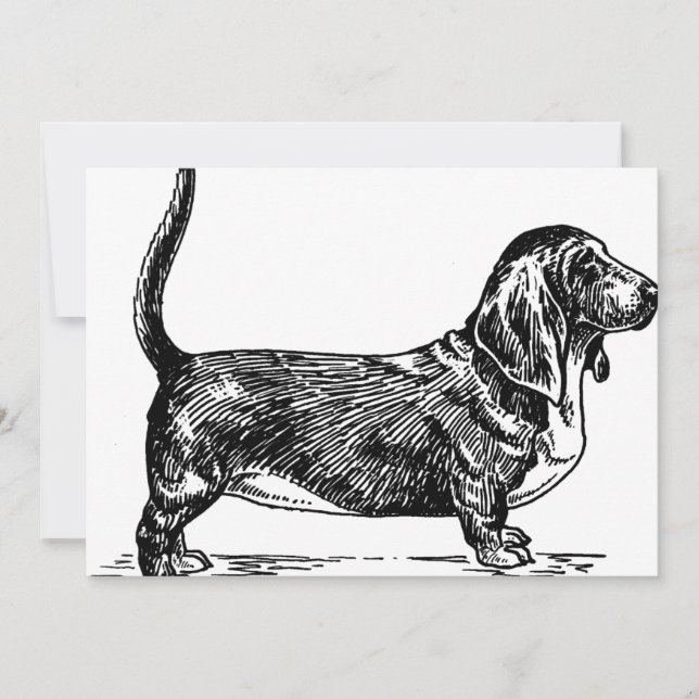 basset hound-ritning.png (Framsida)