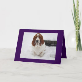 Basset Hound saknar hälsningskort. Kort