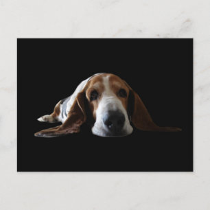Basset Hound som ligger ner Vykort