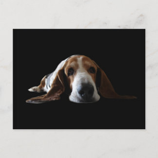 Basset Hound som ligger ner Vykort