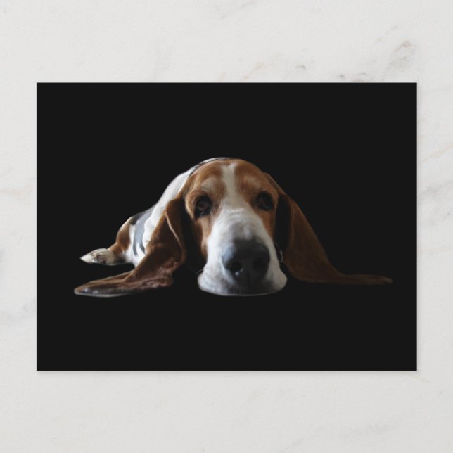 Basset Hound som ligger ner Vykort (Framsida)