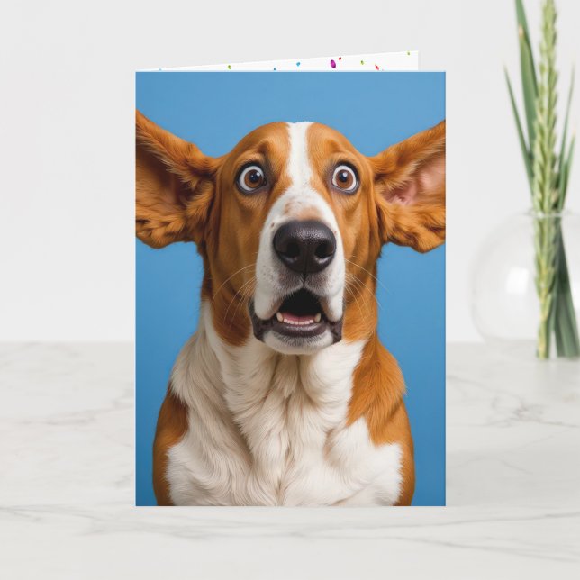 Basset Hound Surprisad födelsedag Kort (Framsida)