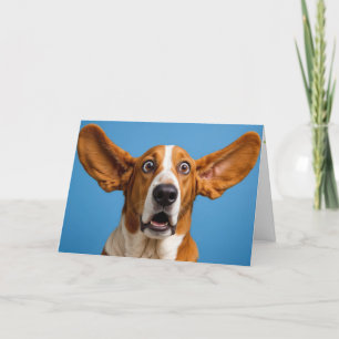 Basset Hound Surprisad födelsedag Kort