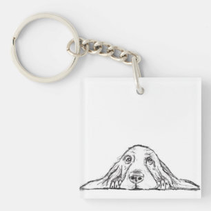 basset hound svart vit enkel valp hund ögon