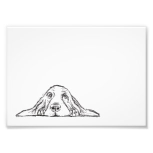 basset hound svart vit enkel valp hund ögon fototryck
