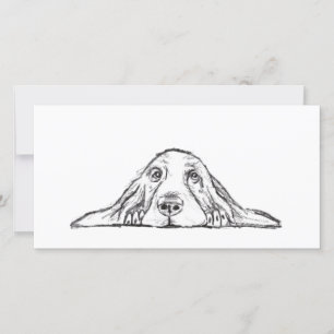 basset hound svart vit enkel valp hund ögon kort
