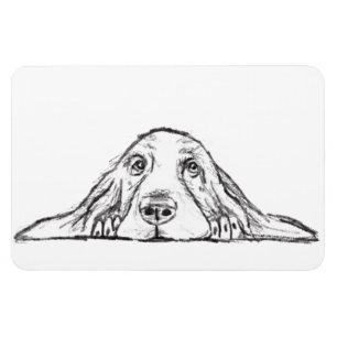 basset hound svart vit enkel valp hund ögon magnet
