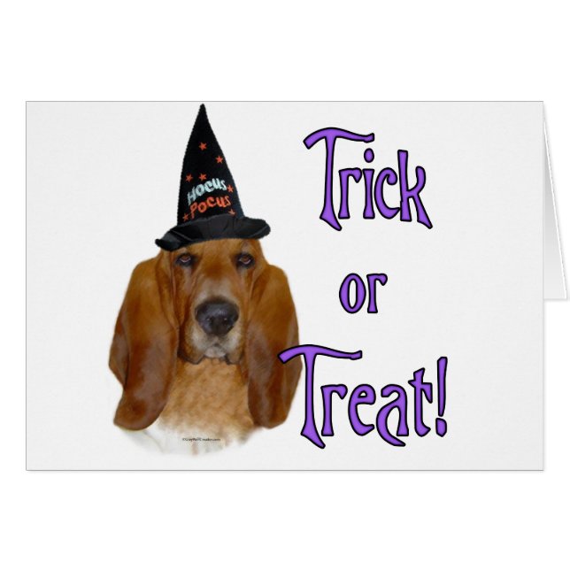 Basset Hound Trick Hälsningskort (Framsidan Horizontal)
