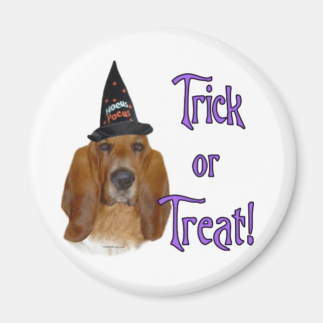 Basset Hound Trick Magnet (Framsidan)