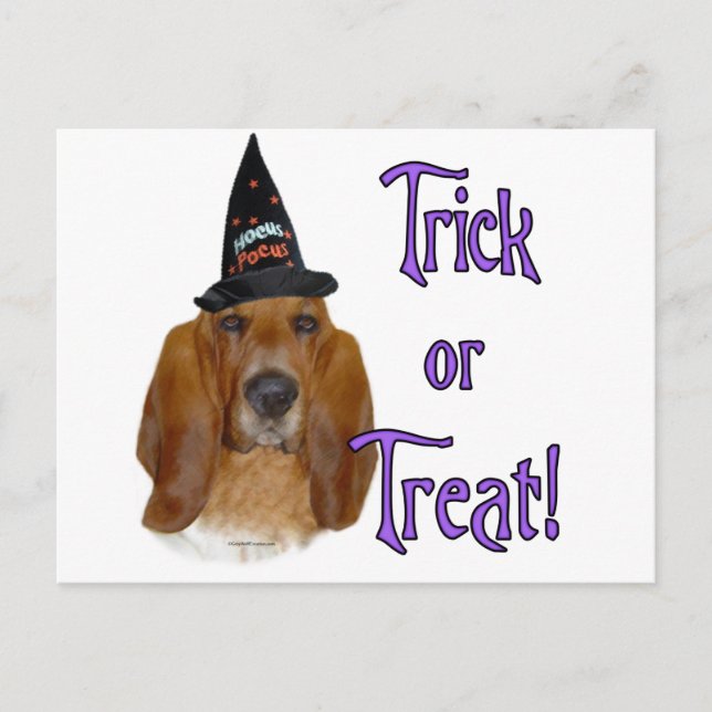 Basset Hound Trick Vykort (Framsida)