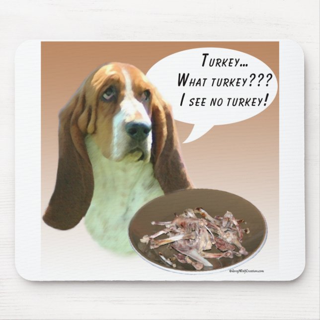 Basset Hound Turkiet Musmatta (Framsidan)