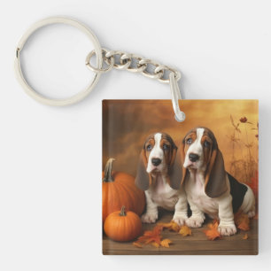 Basset Hound Valp Höstglädje Pumpa