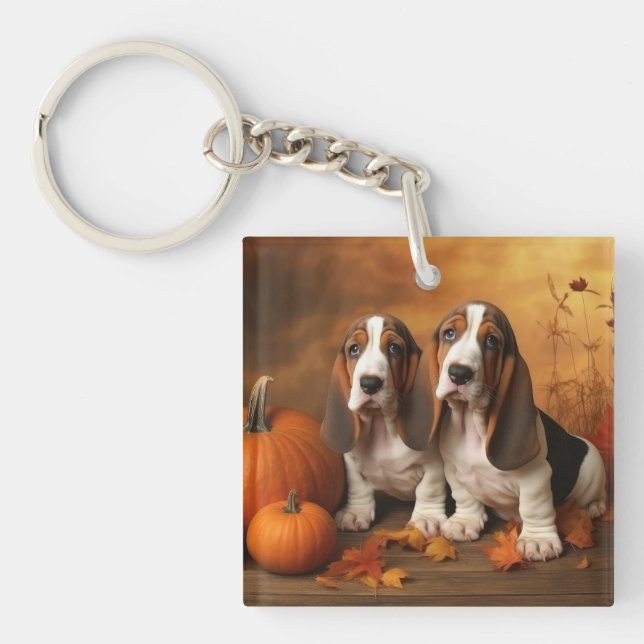 Basset Hound Valp Höstglädje Pumpa  (Framsidan)
