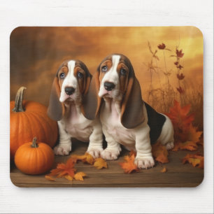 Basset Hound Valp Höstglädje Pumpa Musmatta
