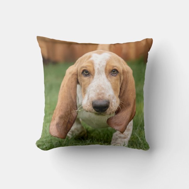 Basset Hound Valp som går Kudde (Framsida)