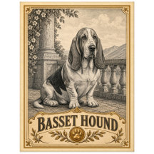 Basset Hound, Vintage Heritage Hund