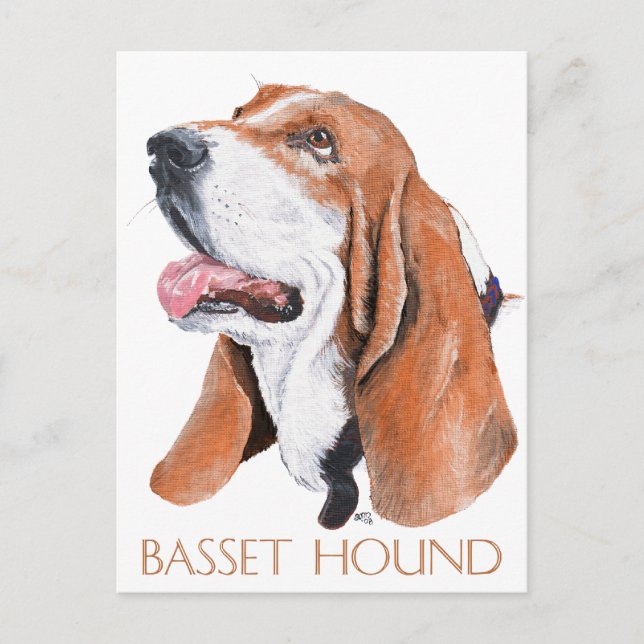 Basset Hound Vykort (Framsida)