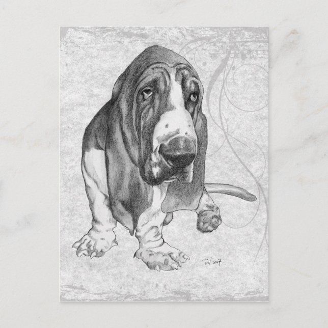 Basset Hound Vykort (Framsida)