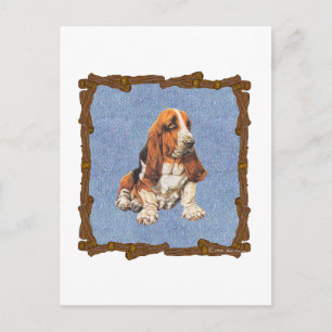 Basset Hound Vykort