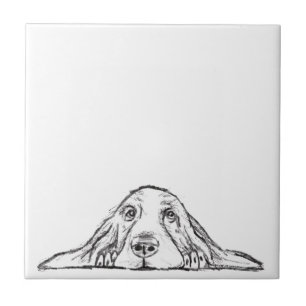 Basset hound white, enkel valp hund öga kakelplatta