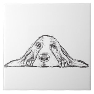 Basset hound white, enkel valp hund öga kakelplatta