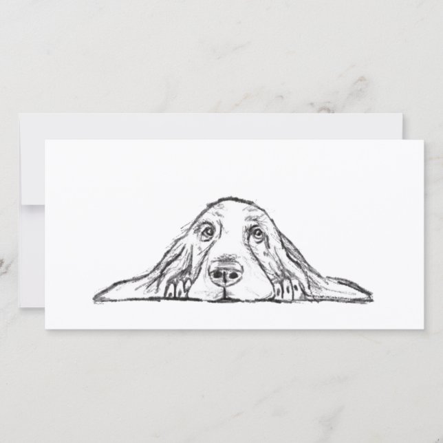 Basset hound white, enkel valp hund öga kort (Framsida)