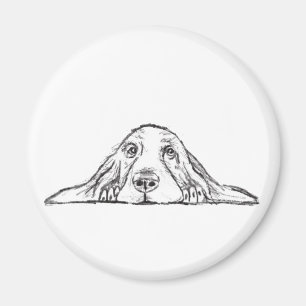 Basset hound white, enkel valp hund öga magnet