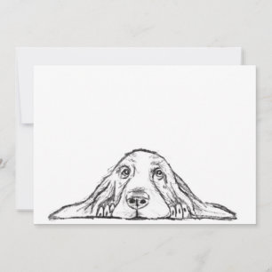 Basset hound white, enkel valp hund öga meddelande