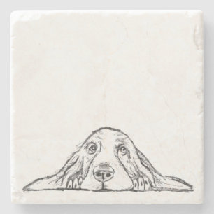 Basset hound white, enkel valp hund öga stenunderlägg