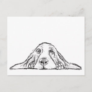 Basset hound white, enkel valp hund öga vykort