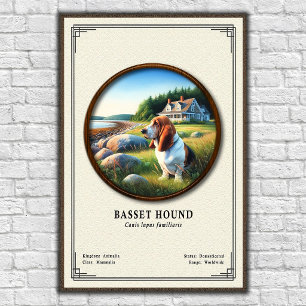 Basset Hound Zoologisk Serie Poster