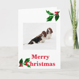 Basset Hounds i snö på julkortet. Helgkort