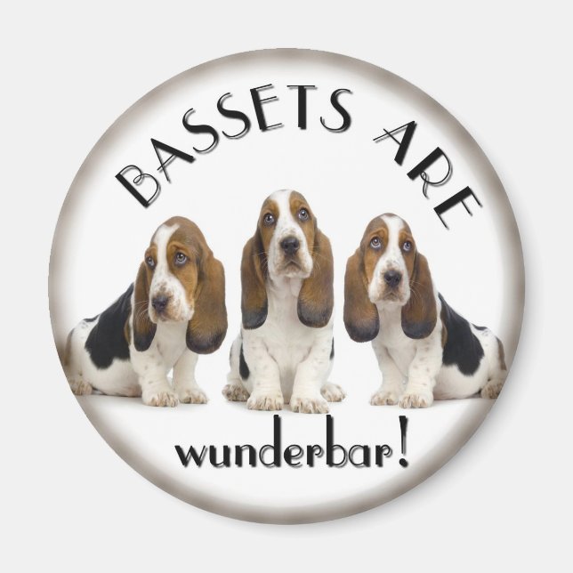Basset Hounds Magnet (Framsidan)
