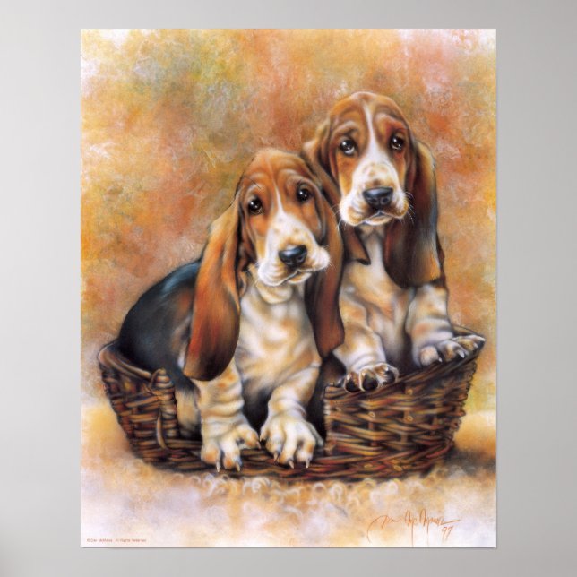 Basset Hounds Poster (Framsidan)