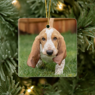 Basset Houng Puppy Walking Julgransprydnad Keramik