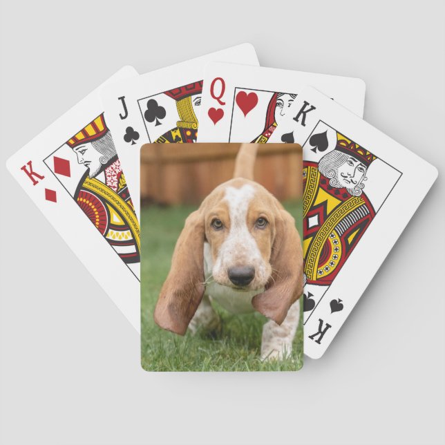 Basset Houng Valp Går Casinokort (Baksidan)